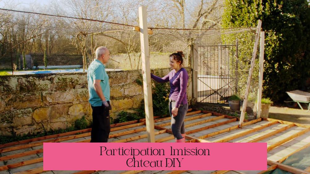 Participation à l’émission Château DIY