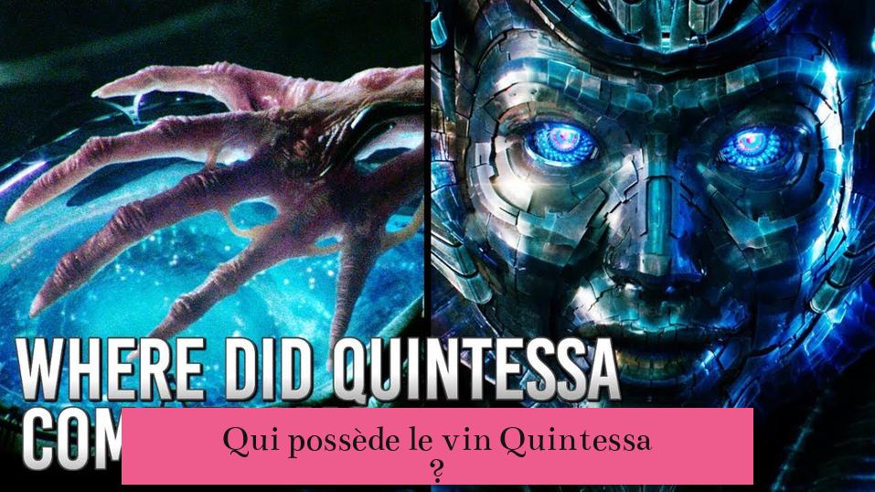 Qui possède le vin Quintessa ?