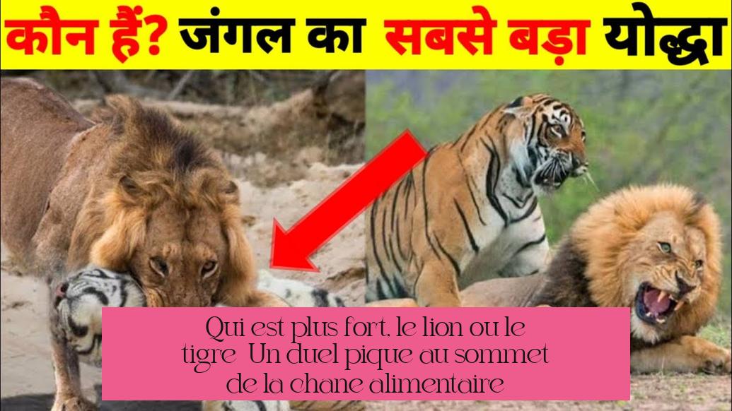 Qui est plus fort, le lion ou le tigre ? Un duel épique au sommet de la chaîne alimentaire
