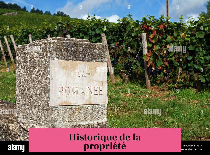 Historique de la propriété