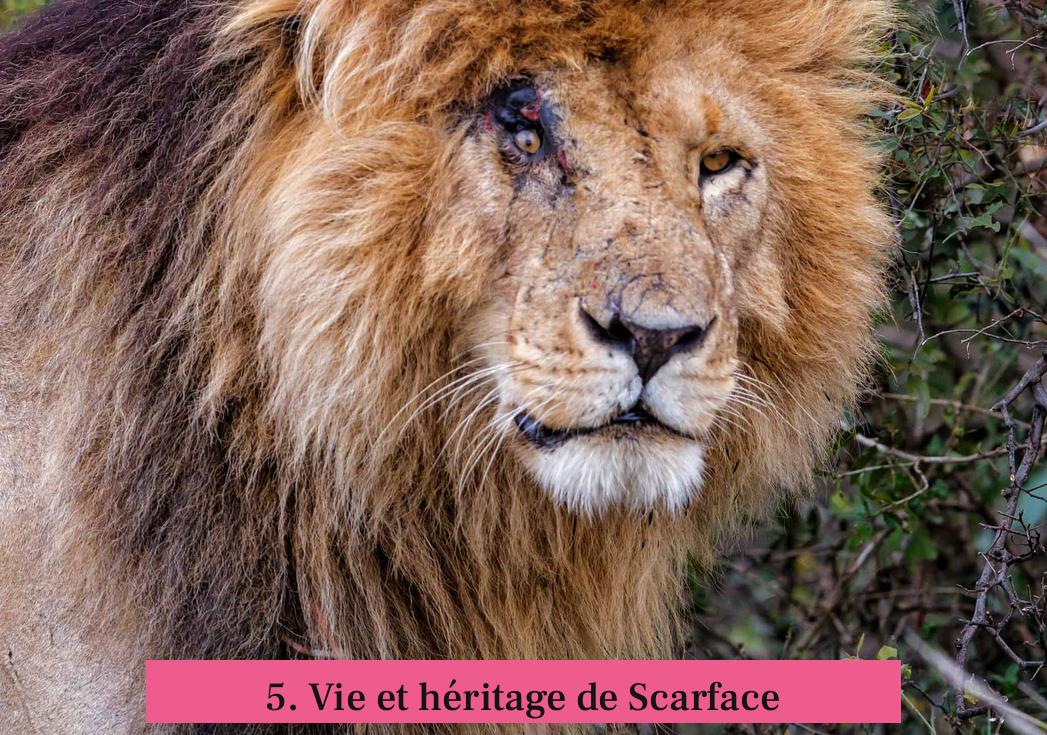 5. Vie et héritage de Scarface