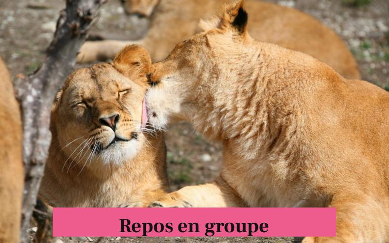 Repos en groupe
