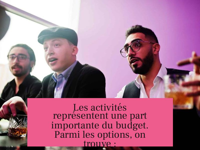 Les activités représentent une part importante du budget. Parmi les options, on trouve :