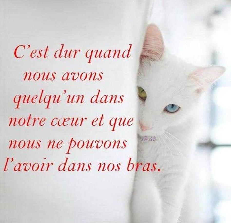 L’homme dans votre vie mérite aussi ce tourbillon de pensées, souvent accompagné d’images puissantes. « Si à chaque fois que je pense à toi, une étoile tombe, eh bien, le ciel serait vide » (Anonyme). Voilà une image qui fait rêver non ?