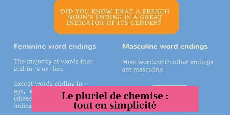 Le pluriel de chemise : tout en simplicité