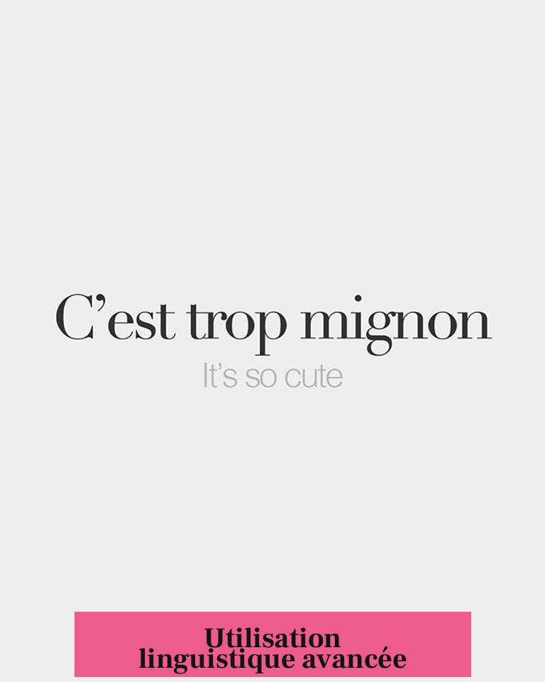 Utilisation linguistique avancée