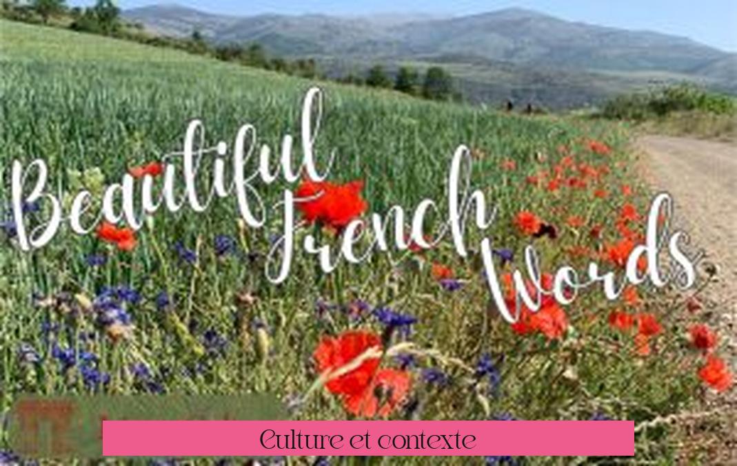 Culture et contexte