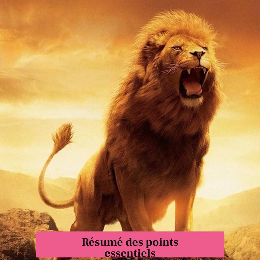 Résumé des points essentiels