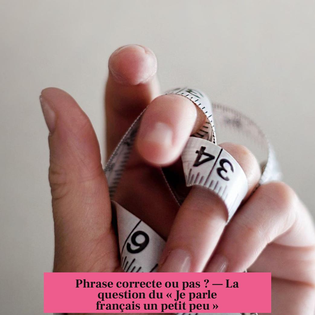 Phrase correcte ou pas ? — La question du « Je parle français un petit peu »