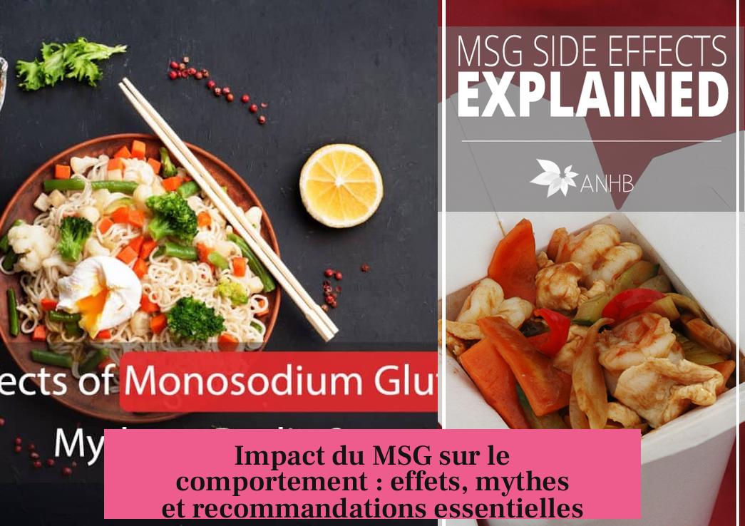 Impact du MSG sur le comportement : effets, mythes et recommandations essentielles