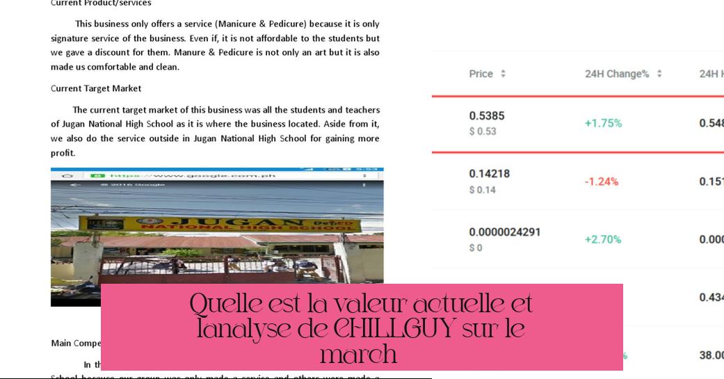 Quelle est la valeur actuelle et l'analyse de CHILLGUY sur le marché ?