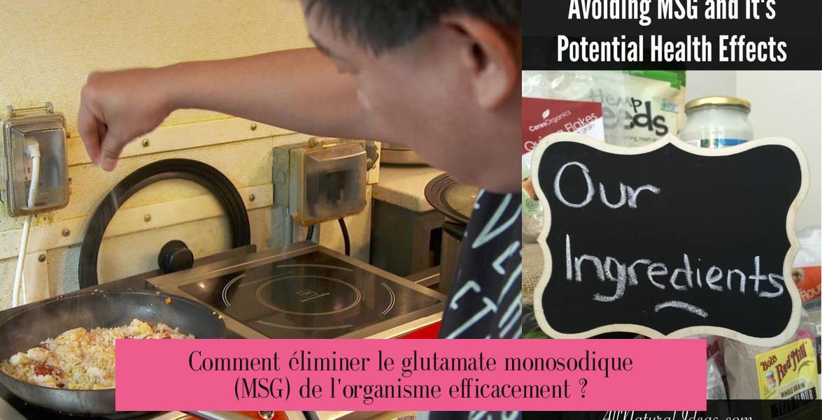 Comment éliminer le glutamate monosodique (MSG) de l'organisme efficacement ?