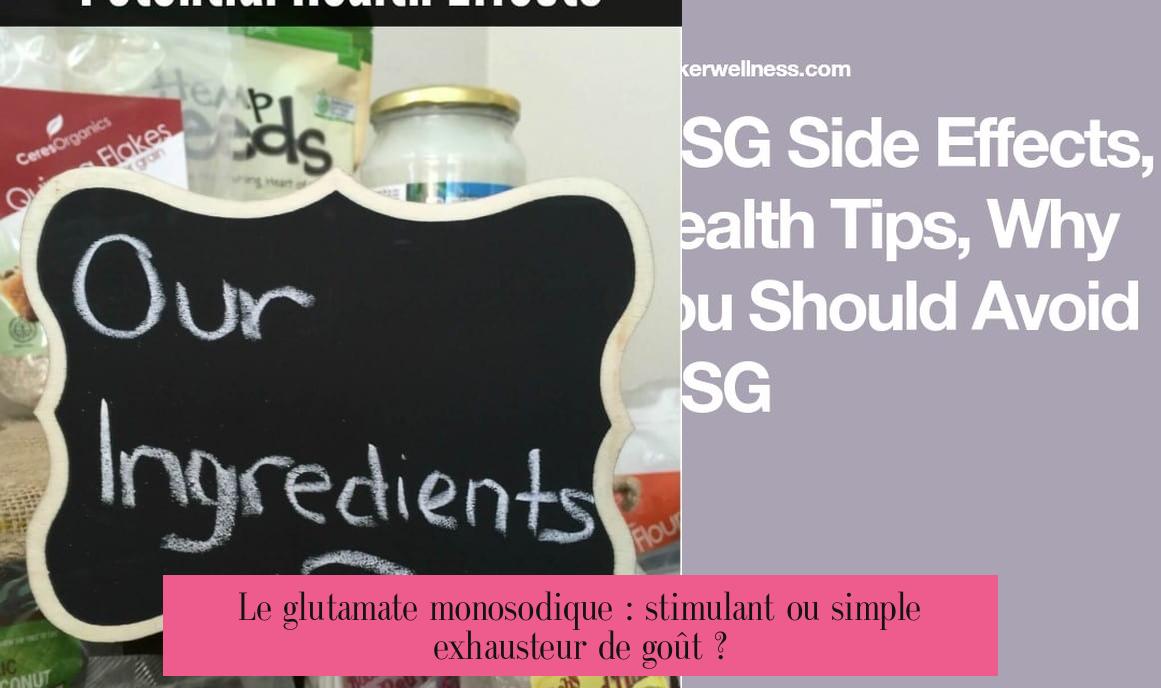 Le glutamate monosodique : stimulant ou simple exhausteur de goût ?