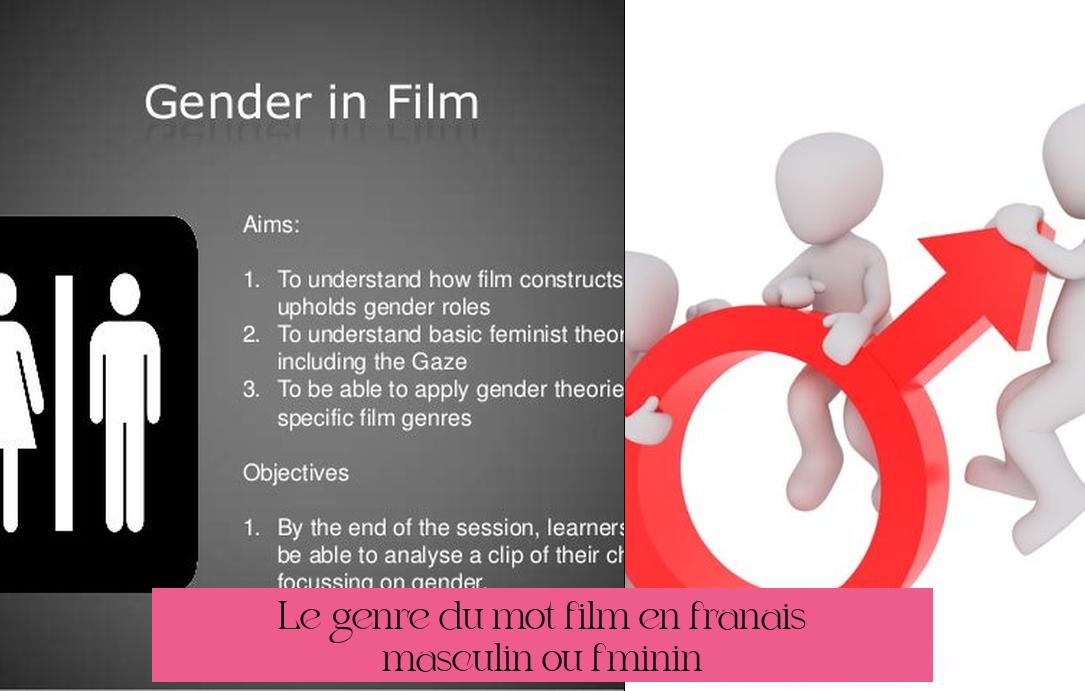 Le genre du mot "film" en français : masculin ou féminin ?