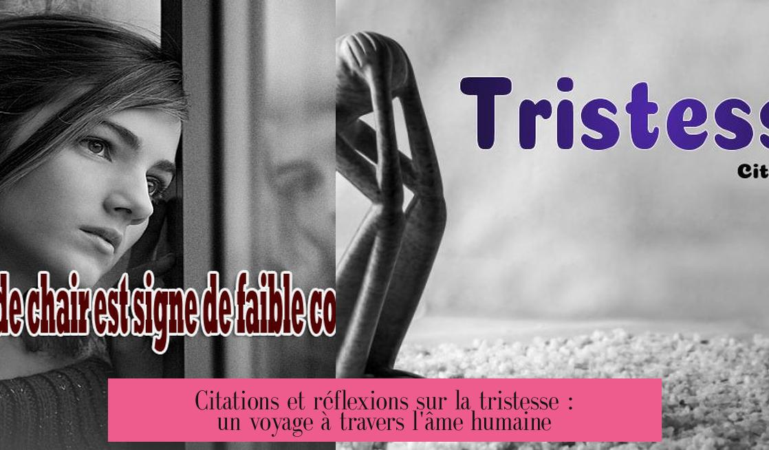 Citations et réflexions sur la tristesse : un voyage à travers l'âme humaine