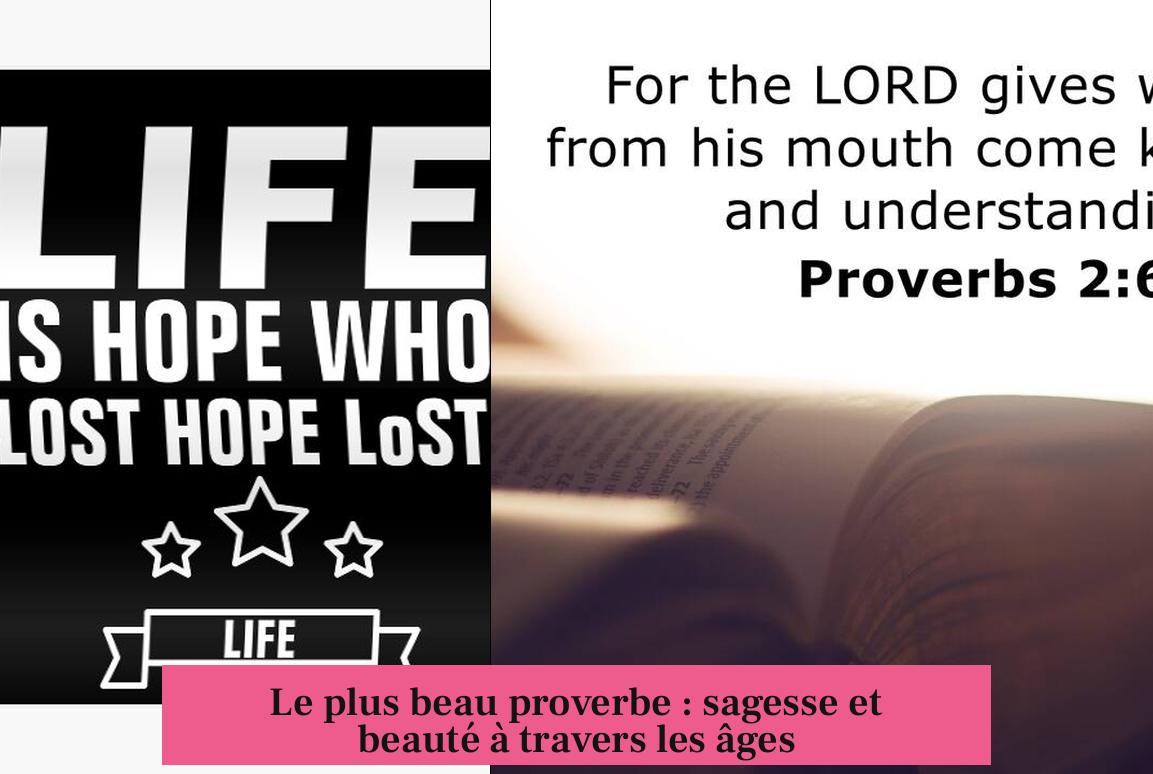 Le plus beau proverbe : sagesse et beauté à travers les âges