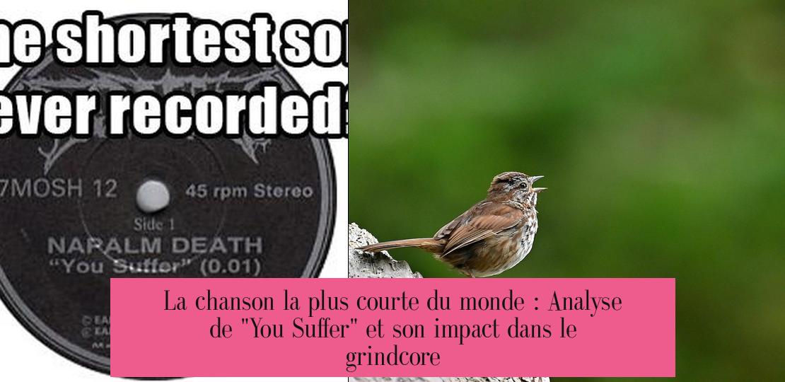 La chanson la plus courte du monde : Analyse de "You Suffer" et son impact dans le grindcore