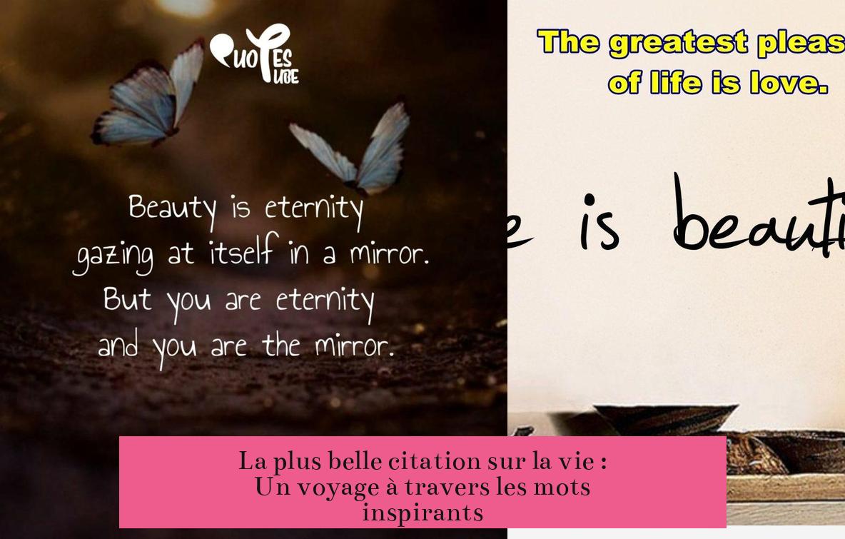 La plus belle citation sur la vie : Un voyage à travers les mots inspirants