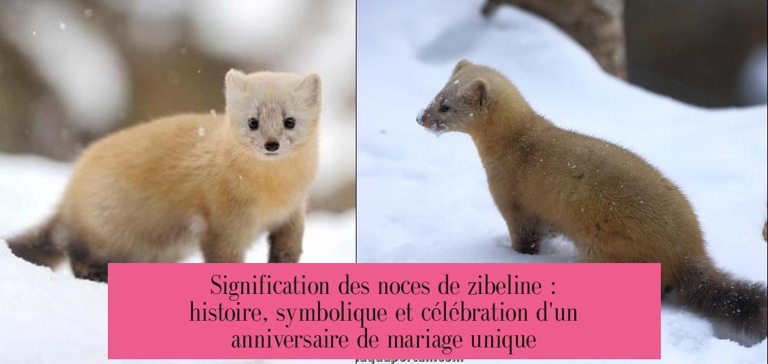 Signification des noces de zibeline : histoire, symbolique et célébration d'un anniversaire de mariage unique