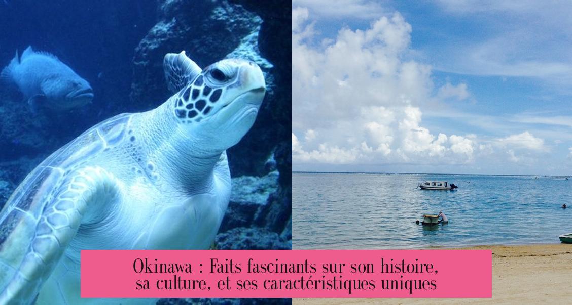 Okinawa : Faits fascinants sur son histoire, sa culture, et ses caractéristiques uniques
