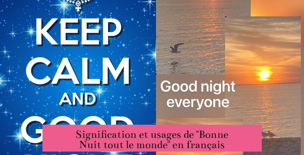Signification et usages de "Bonne Nuit tout le monde" en français
