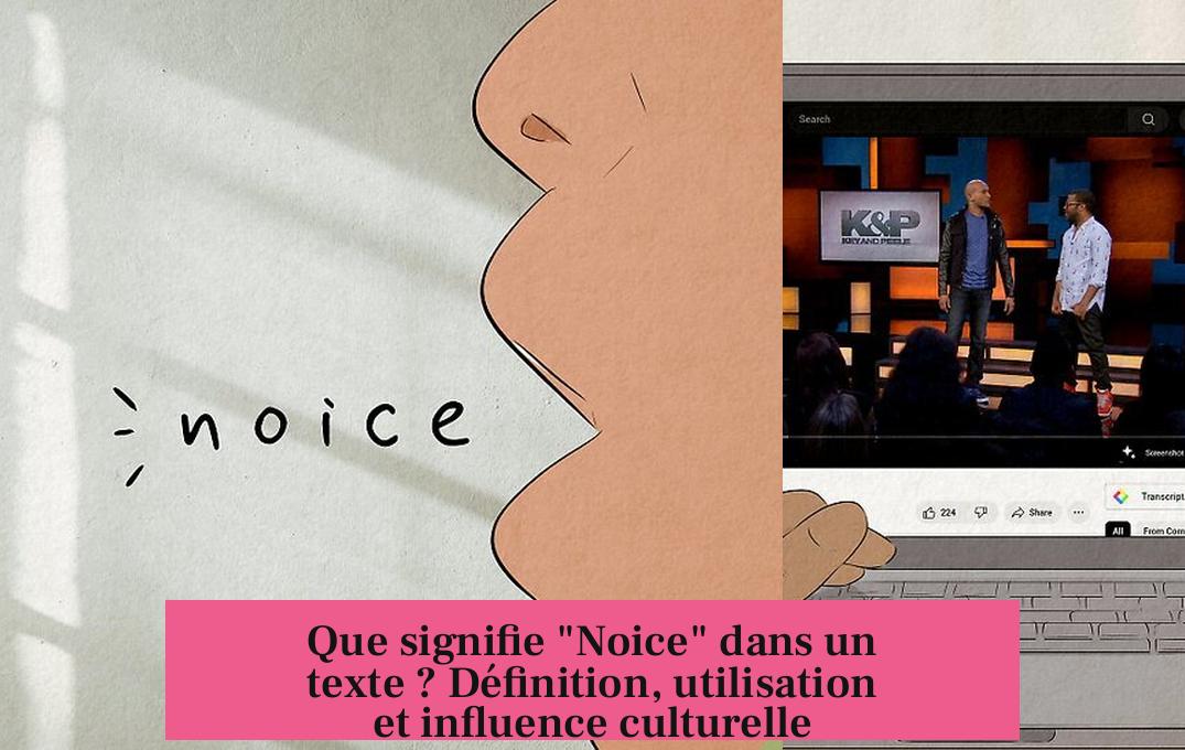 Que signifie "Noice" dans un texte ? Définition, utilisation et influence culturelle