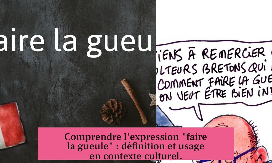 Comprendre l'expression "faire la gueule" : définition et usage en contexte culturel.
