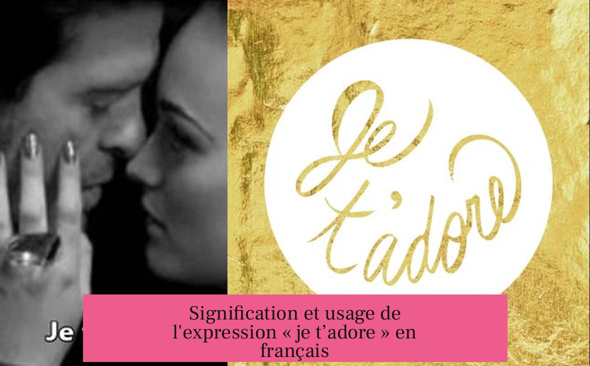 Signification et usage de l'expression « je t’adore » en français