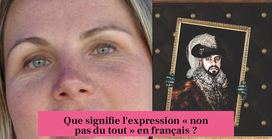Que signifie l'expression « non pas du tout » en français ?