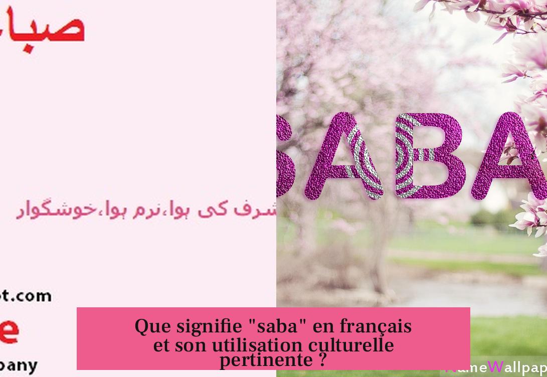 Que signifie "saba" en français et son utilisation culturelle pertinente ?