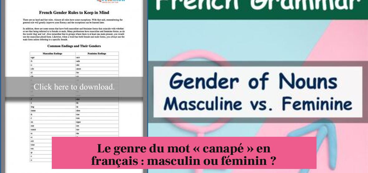 Le genre du mot « canapé » en français : masculin ou féminin ?