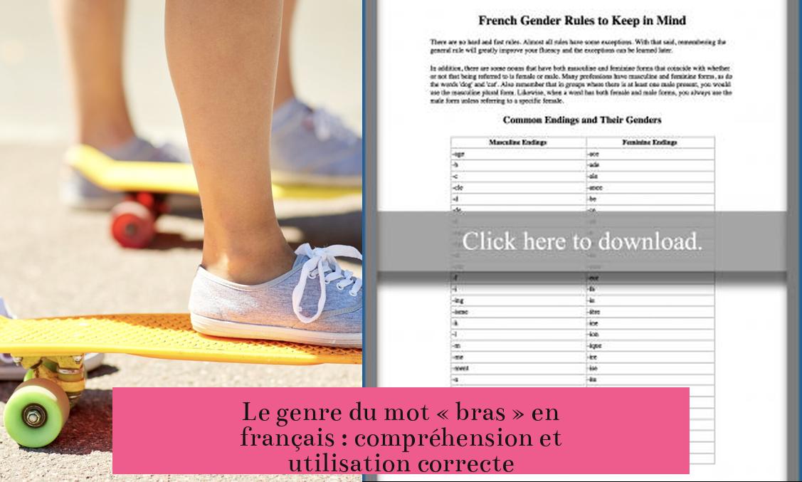Le genre du mot « bras » en français : compréhension et utilisation correcte