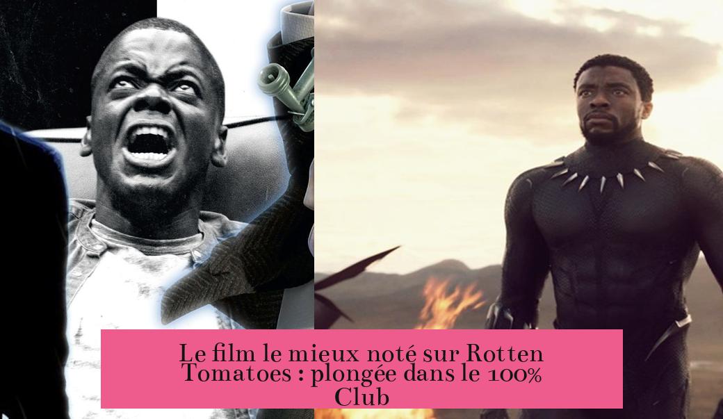 Le film le mieux noté sur Rotten Tomatoes : plongée dans le 100% Club