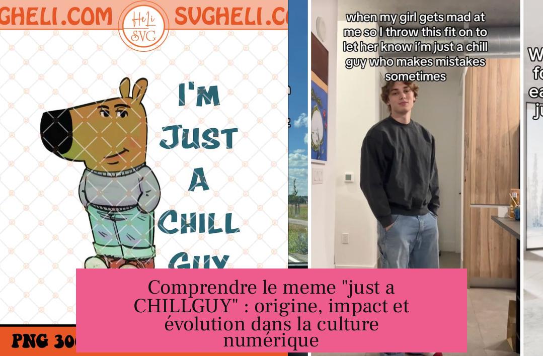Comprendre le meme "just a CHILLGUY" : origine, impact et évolution dans la culture numérique