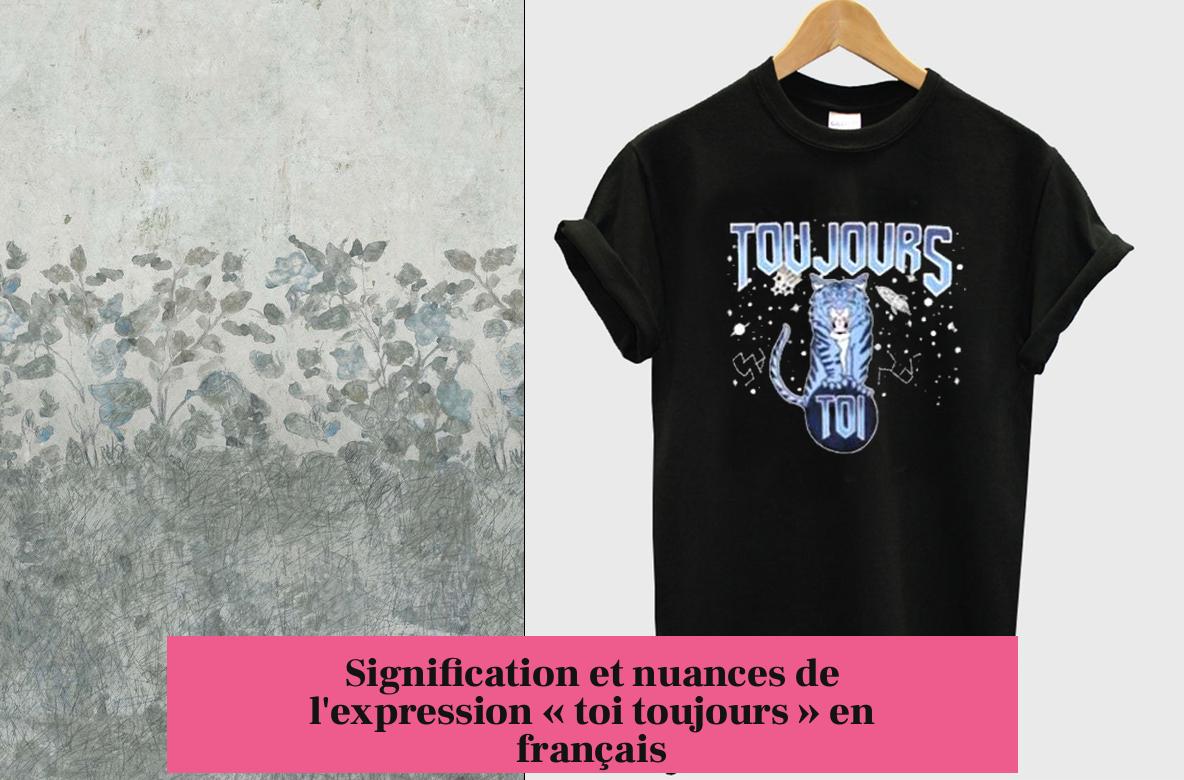 Signification et nuances de l'expression « toi toujours » en français