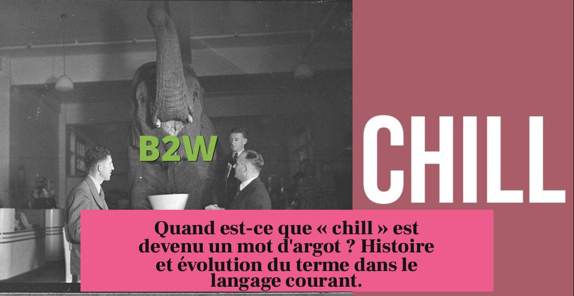 Quand est-ce que « chill » est devenu un mot d'argot ? Histoire et évolution du terme dans le langage courant.