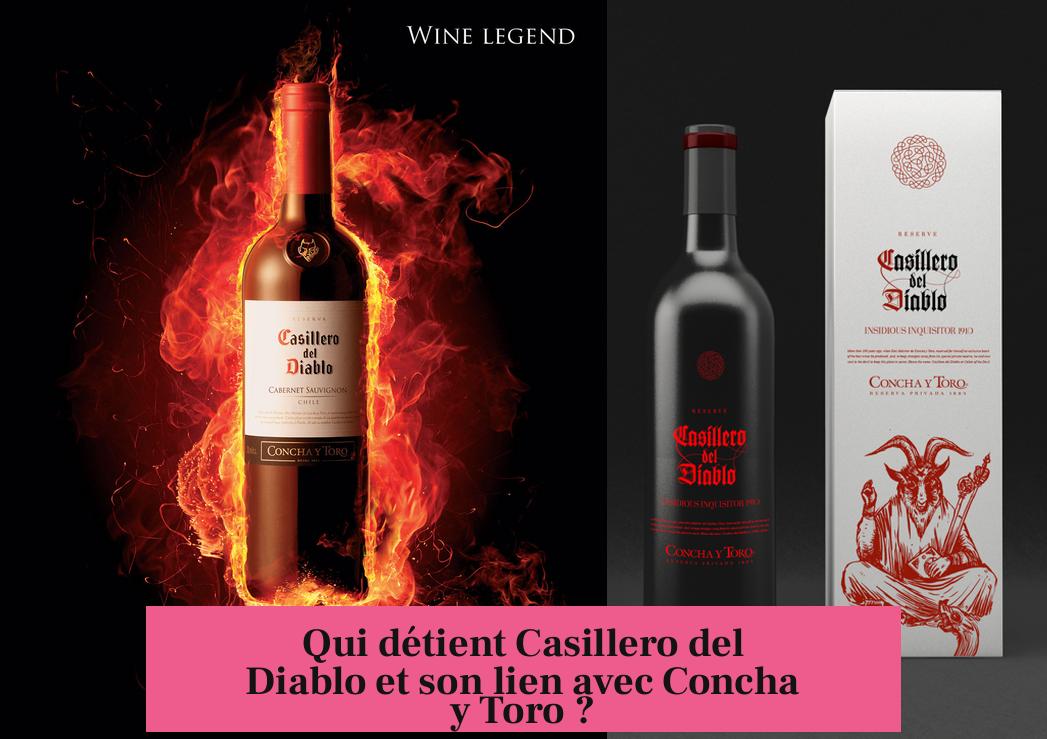 Qui détient Casillero del Diablo et son lien avec Concha y Toro ?