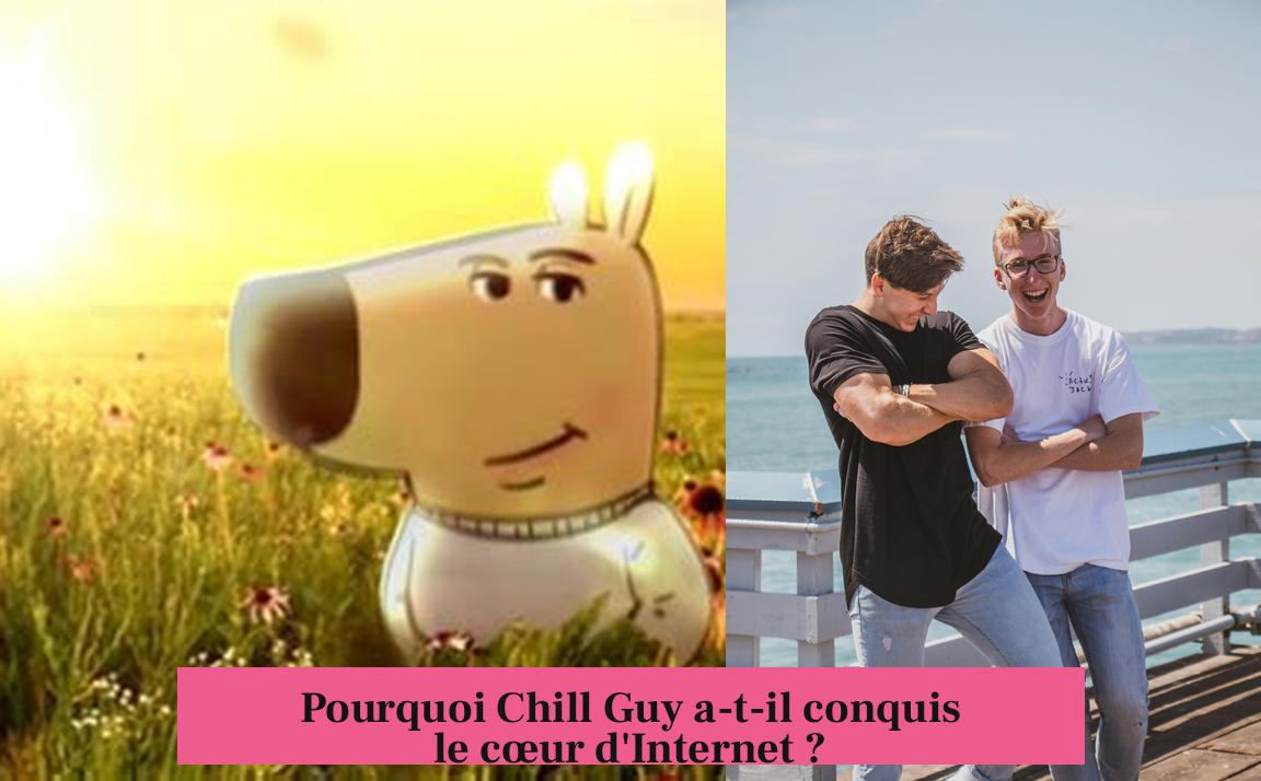 Pourquoi Chill Guy a-t-il conquis le cœur d'Internet ?