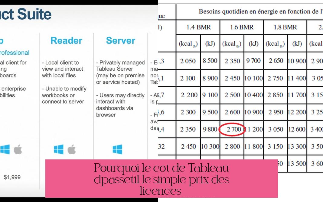 Pourquoi le coût de Tableau dépasse-t-il le simple prix des licences ?