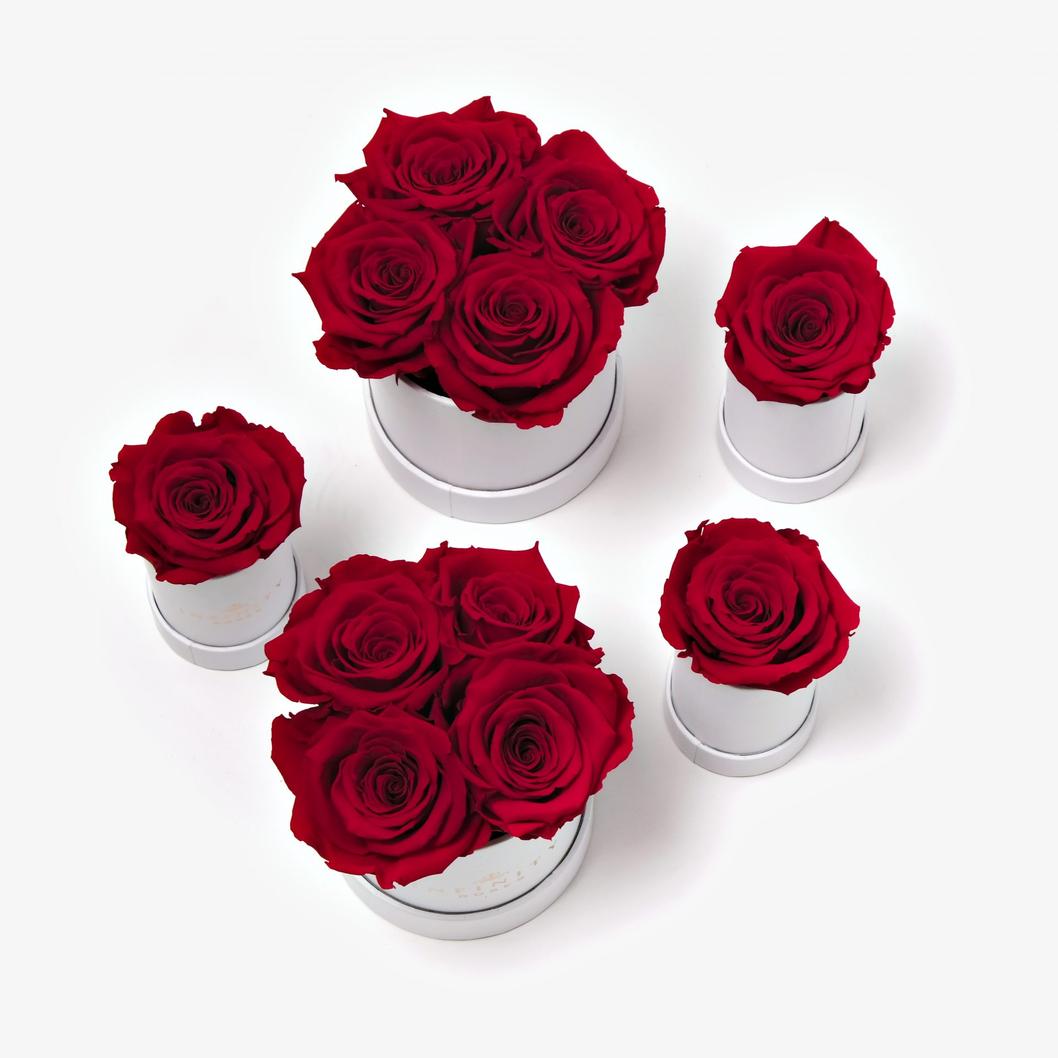 Les roses blanches symbolisent la pureté et le renouveau. Malgré cela, elles ne communiquent pas toujours l’idée d’un amour passionnel ou romantique. Pour une demande en mariage, cette couleur peut manquer d’émotion ou d’intensité.