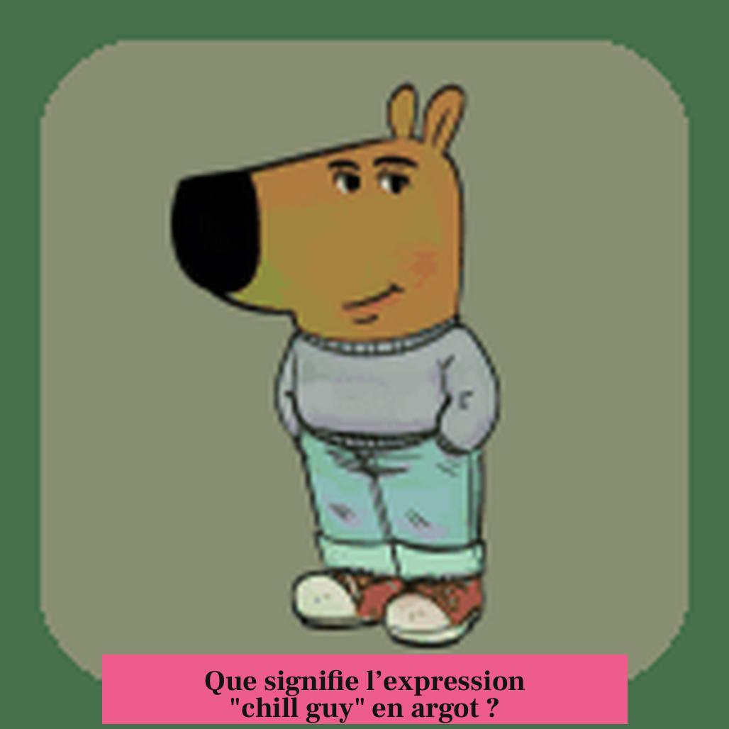 Que signifie l’expression "chill guy" en argot ?