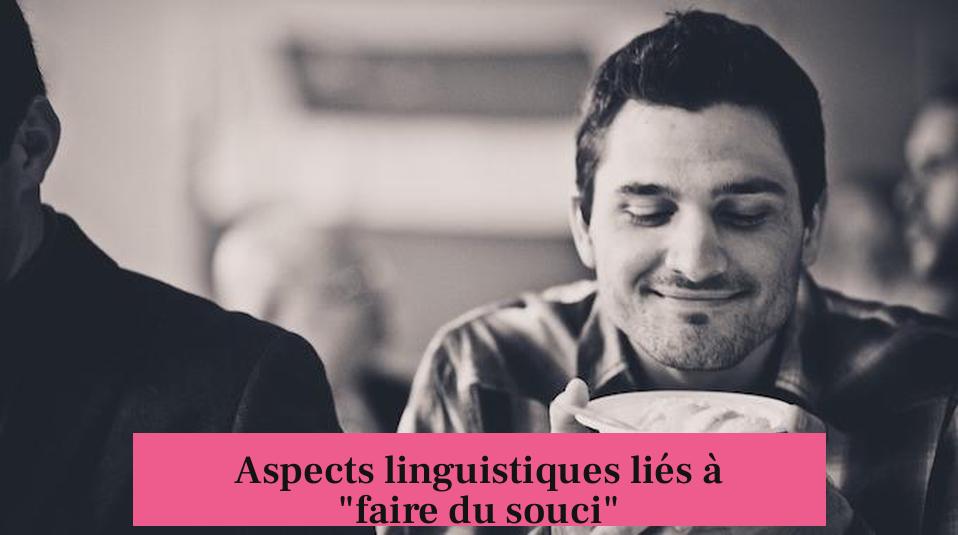 Aspects linguistiques liés à "faire du souci"