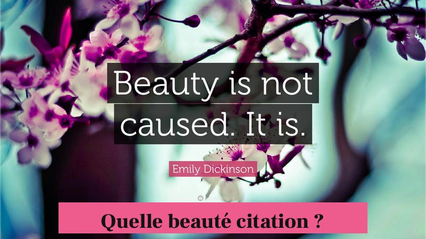 Quelle beauté citation ?