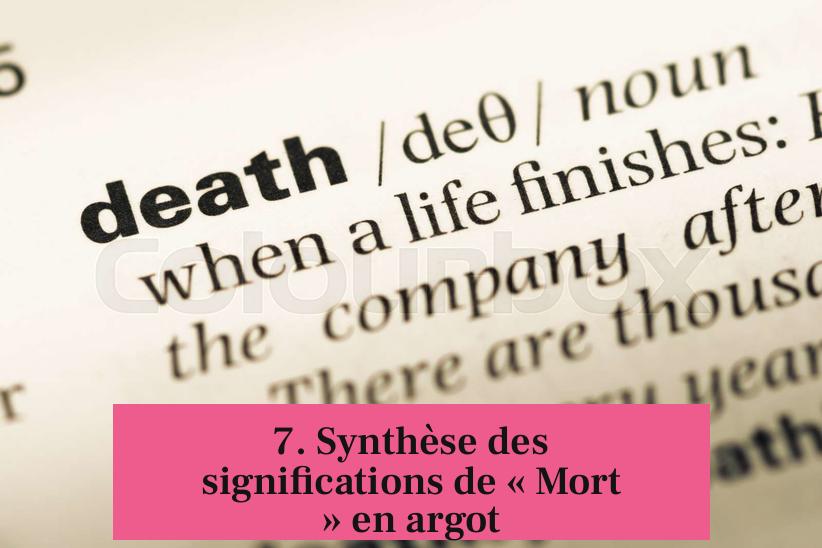 7. Synthèse des significations de « Mort » en argot