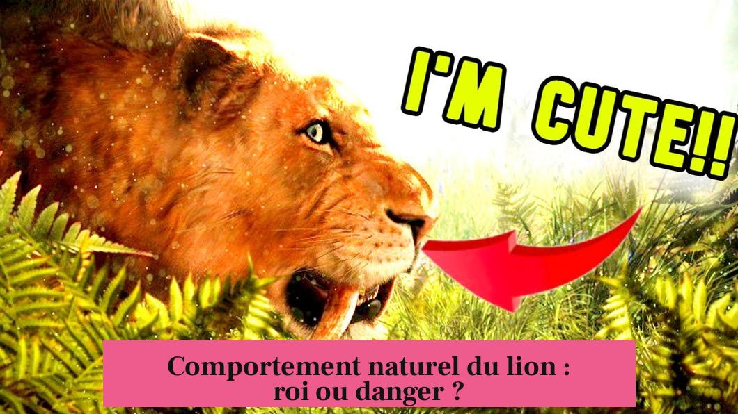 Comportement naturel du lion : roi ou danger ?