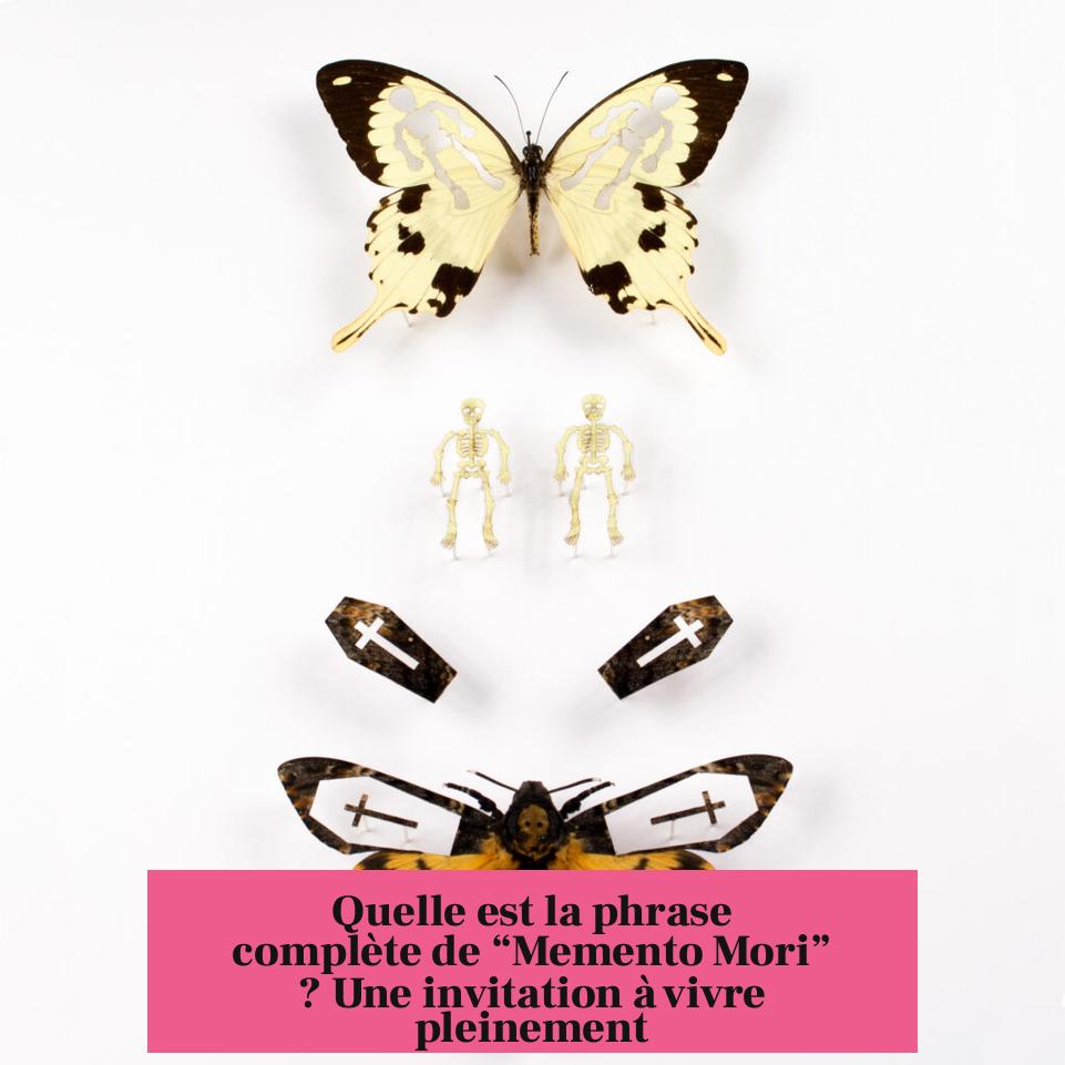 Quelle est la phrase complète de “Memento Mori” ? Une invitation à vivre pleinement