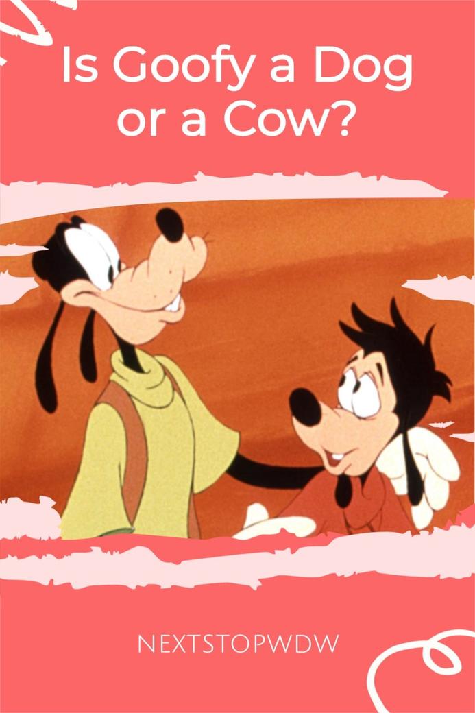 On comprend ici que Goofy est un chien anthropomorphique détaché des codes habituels. En d’autres termes, il est inspiré d’un chien, mais il a été humanisé à l’extrême, ce qui le place dans une catégorie à part.