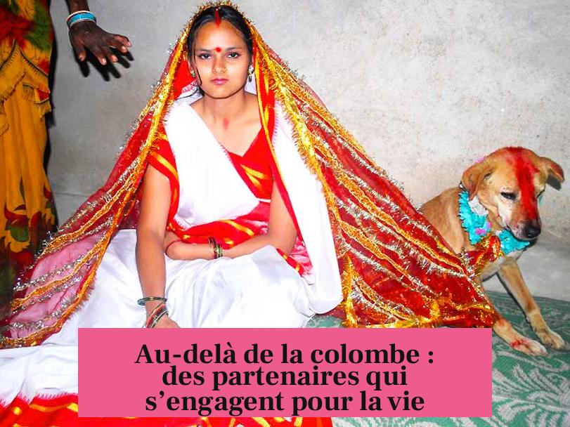 Au-delà de la colombe : des partenaires qui s’engagent pour la vie