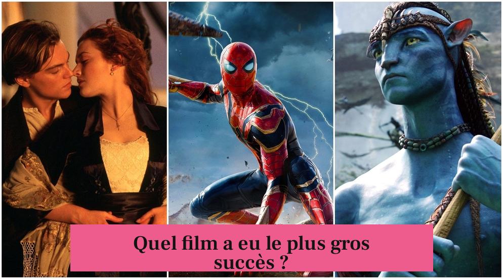 Quel film a eu le plus gros succès ?