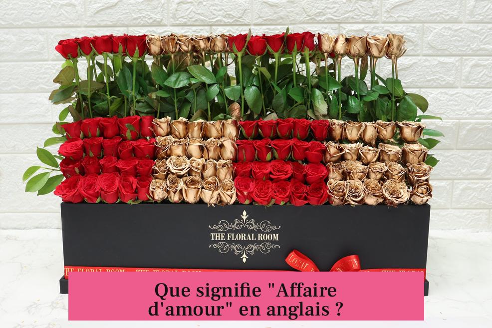 Que signifie "Affaire d'amour" en anglais ?